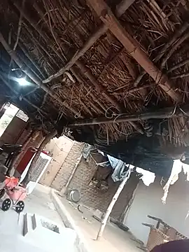 Deepjakolirr webcam