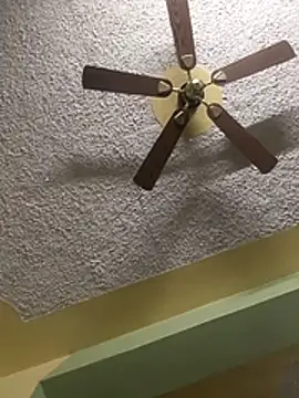 calme_odl1 webcam