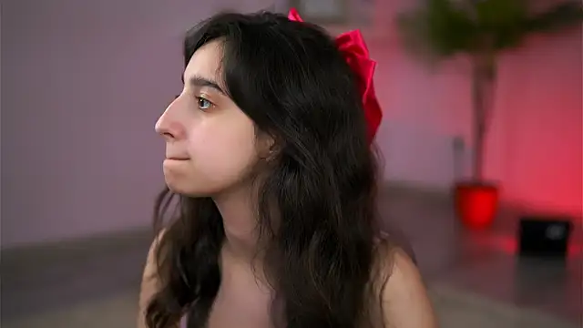 JullyFox webcam
