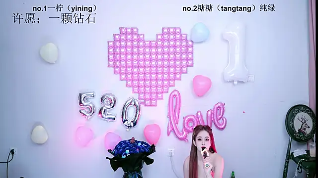 CCTW-100 webcam