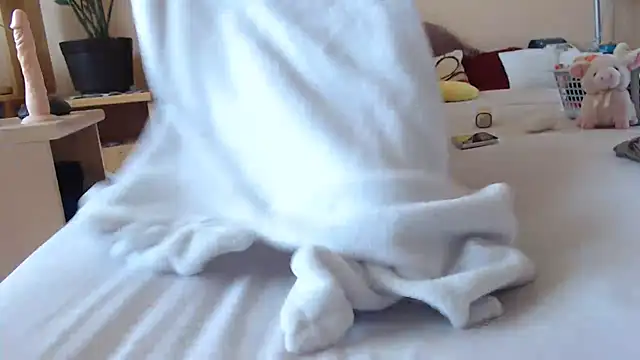 Dorina webcam