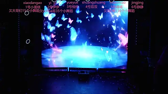 cdyyds003 webcam