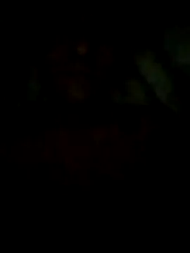 S7LEALTADPERVLIMA7 webcam