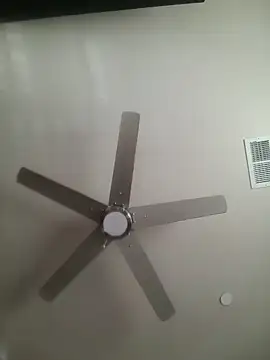 yourMasterisBored webcam