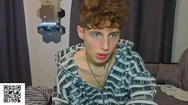 crispinver webcam