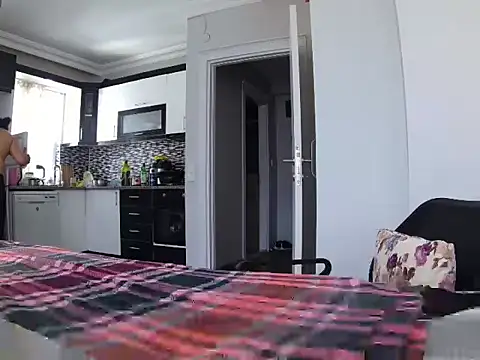 ALPHANDRE webcam