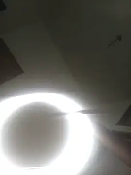 WaiterZim webcam