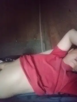 Punmina webcam