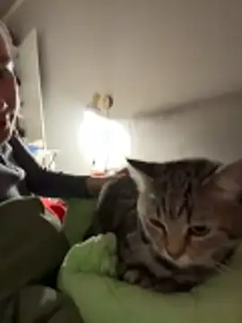 RinaCat webcam
