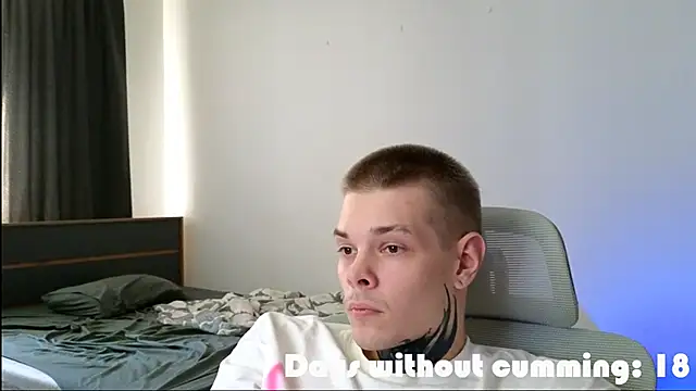 DENIS_HERE webcam