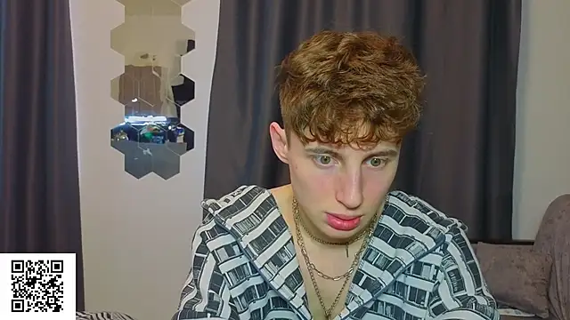 crispinver webcam
