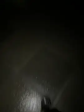 Pippin-19 webcam