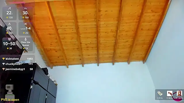 esteveen_ortegas_ webcam