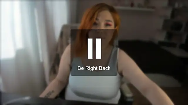 Vi-Vixen webcam