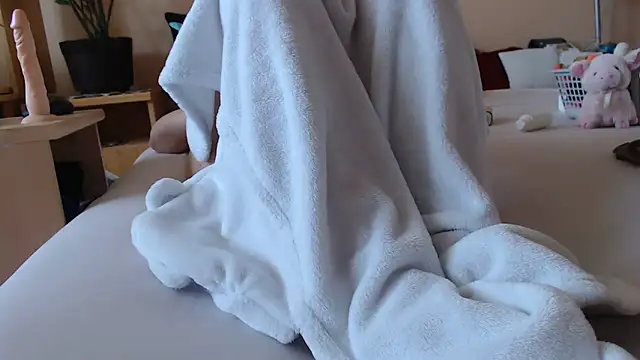 Dorina webcam