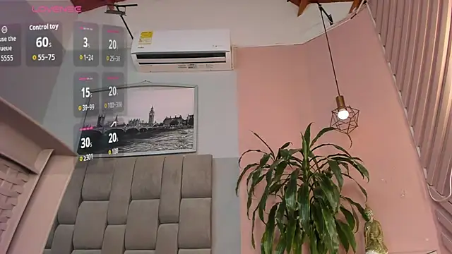 dyvis_22 webcam