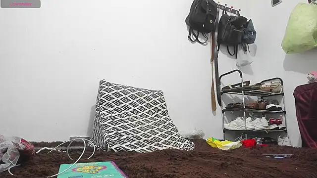 perla_jeff webcam
