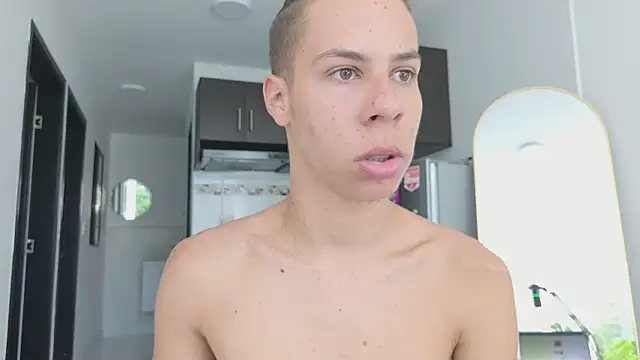 grey___27 webcam