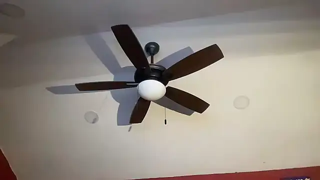 bossdj2025 webcam
