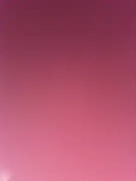 Fienjr webcam
