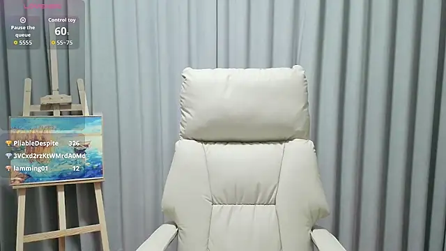 LUNYI-CC webcam