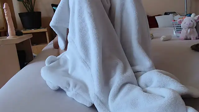 Dorina webcam