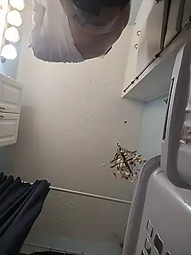 bigdoog8 webcam