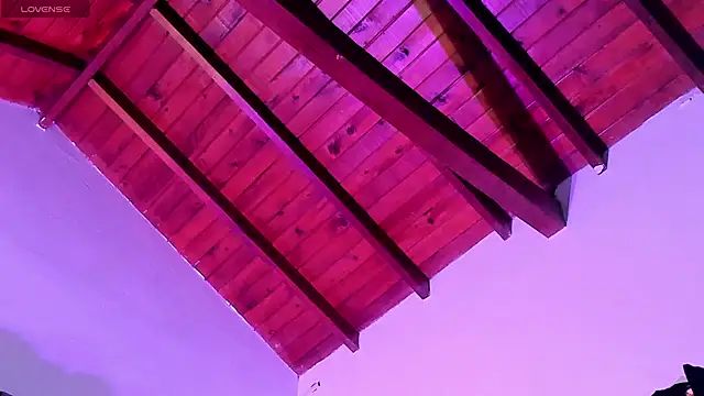 TonyPetrovjs webcam