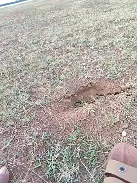 telugukurrodu29 webcam