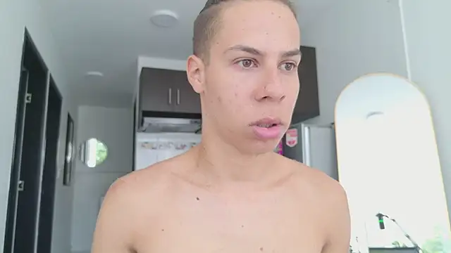 grey___27 webcam