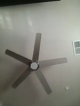 yourMasterisBored webcam