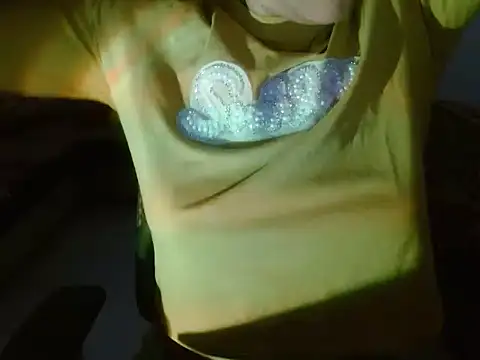 InayatSingh webcam
