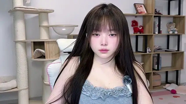 SakuraCat6 webcam