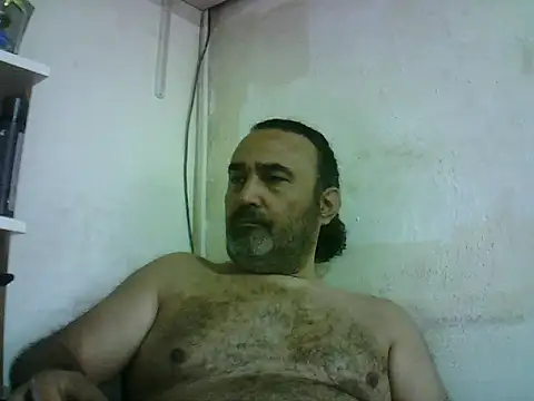 enginbasar webcam