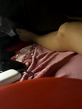 -Tara-a webcam