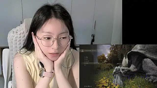 Erya-369 webcam