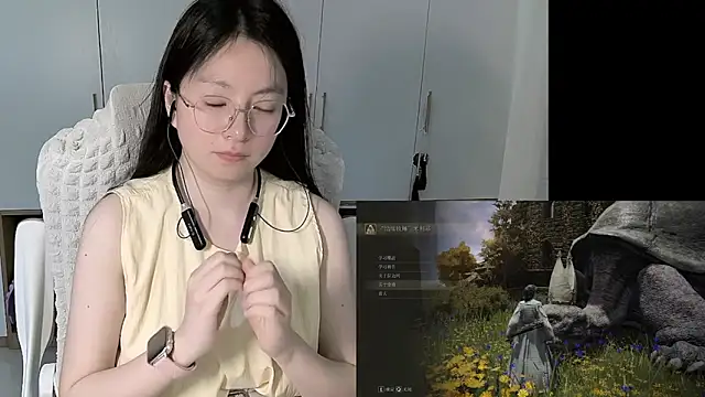 Erya-369 webcam