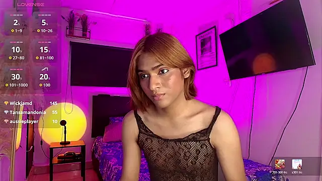 imgerver webcam