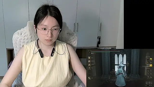 Erya-369 webcam