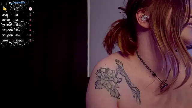 mary_lunar webcam