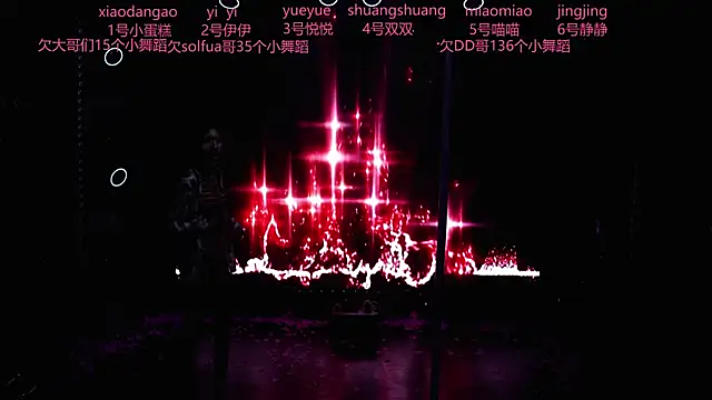 cdyyds003 webcam