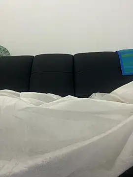 Pitthott11 webcam