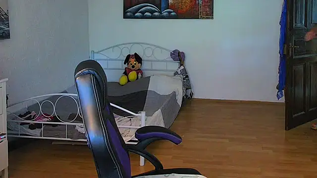Sylly webcam