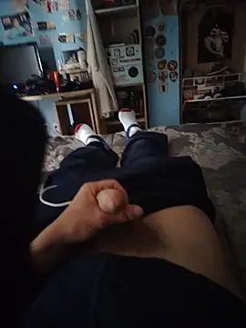 BarringHandling webcam