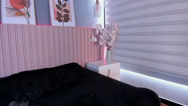 karo_linee1 webcam