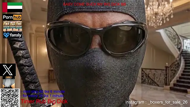 bfs26 webcam