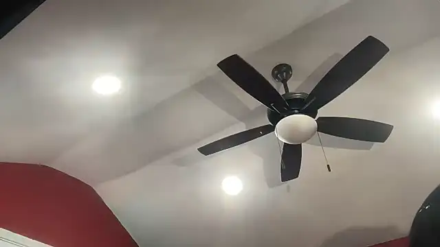 bossdj2025 webcam
