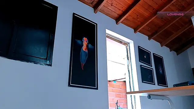 SilvaBranko webcam