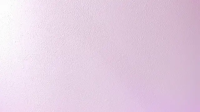 AliiceWonderland_ webcam