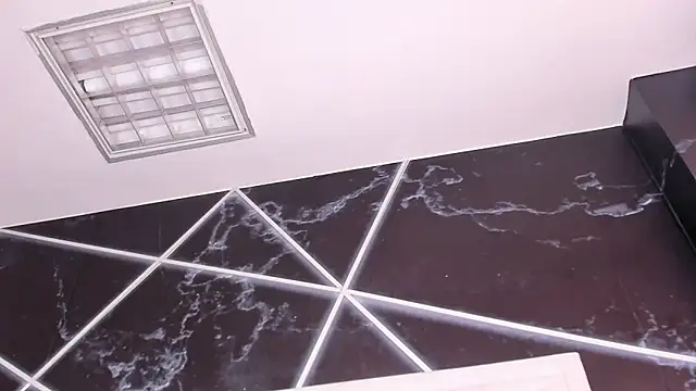AerumChae webcam